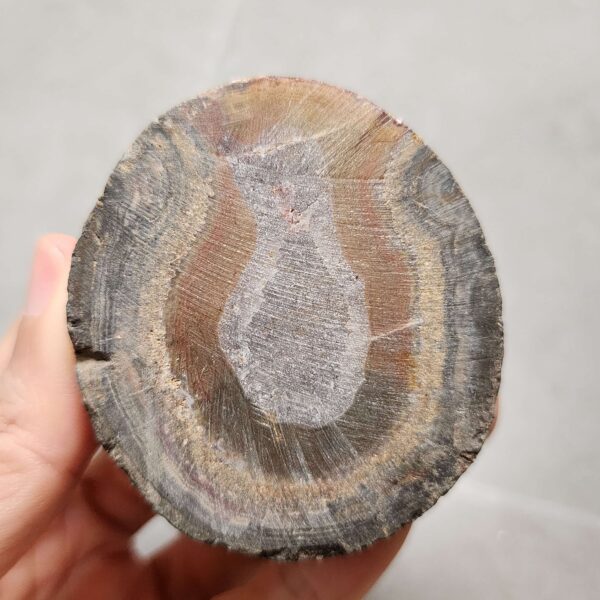 20260711_171745 Zhanguo Red Agate Pair Stone (unpolished) ZR057