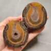 20260711_171808 Zhanguo Red Agate Pair Stone (unpolished) ZR057