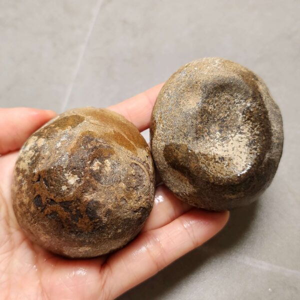 20260711_171854 Zhanguo Red Agate Pair Stone (unpolished) ZR057