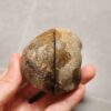 20260711_171906 Zhanguo Red Agate Pair Stone (unpolished) ZR057