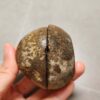 20260711_171921 Zhanguo Red Agate Pair Stone (unpolished) ZR057