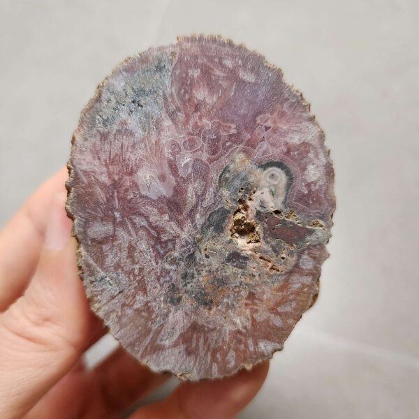 20260711_172056 Zhanguo Red Agate Pair Stone (unpolished) ZR058