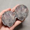 Zhanguo Red Agate Pair Stone (unpolished) ZR059