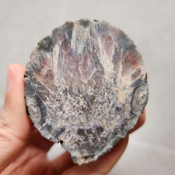 Zhanguo Red Agate Pair Stone (unpolished) ZR059