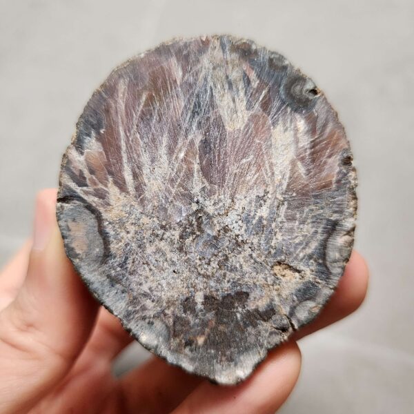 Zhanguo Red Agate Pair Stone (unpolished) ZR059