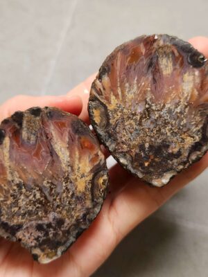 Zhanguo Red Agate Pair Stone (unpolished) ZR059