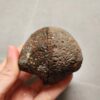 Zhanguo Red Agate Pair Stone (unpolished) ZR059