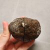 Zhanguo Red Agate Pair Stone (unpolished) ZR059