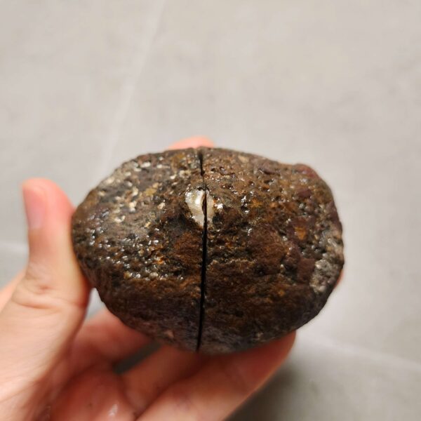 Zhanguo Red Agate Pair Stone (unpolished) ZR059