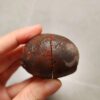 20260711_172958 Zhanguo Red Agate Pair Stone (unpolished) ZR060