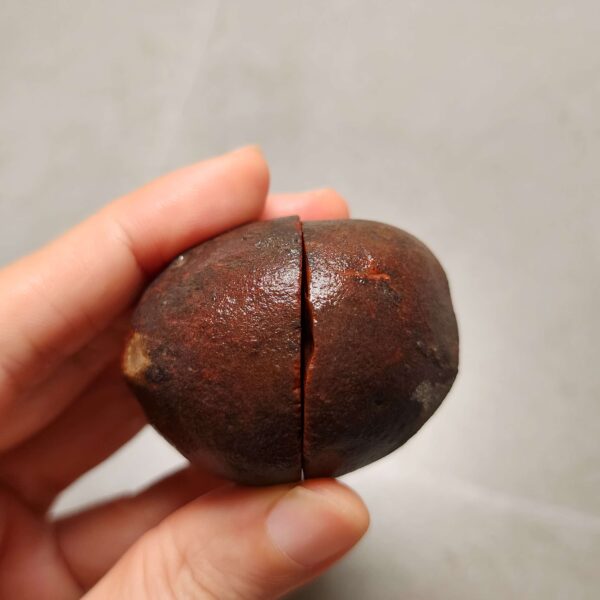 20260711_173006 Zhanguo Red Agate Pair Stone (unpolished) ZR060