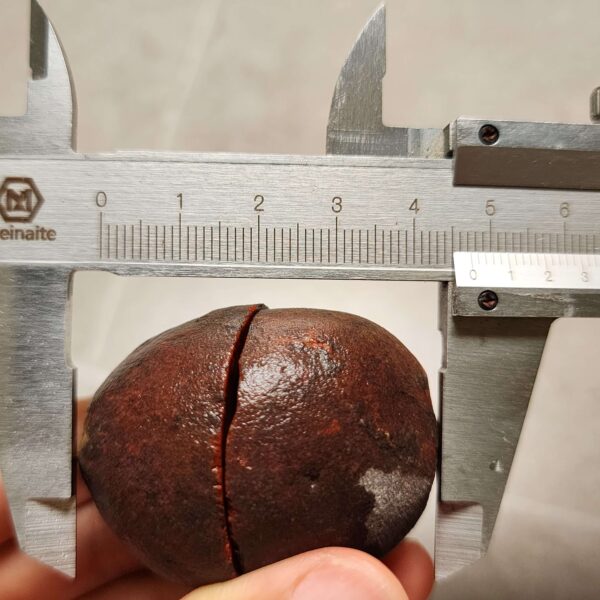 20260711_173027 Zhanguo Red Agate Pair Stone (unpolished) ZR060