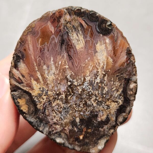 Zhanguo Red Agate Pair Stone (unpolished) ZR059