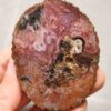 20260711_173212 Zhanguo Red Agate Pair Stone (unpolished) ZR058