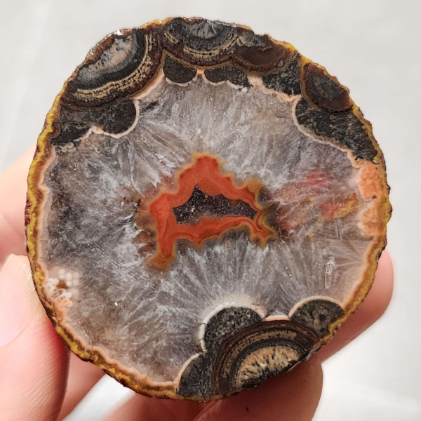 20260711_173305 Zhanguo Red Agate Pair Stone (unpolished) ZR055
