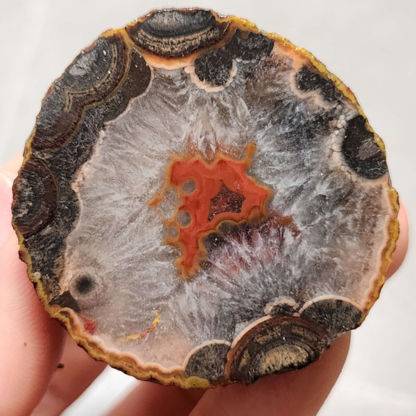 20260711_173324 Zhanguo Red Agate Pair Stone (unpolished) ZR055