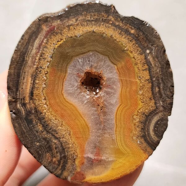 20260711_173349 Zhanguo Red Agate Pair Stone (unpolished) ZR057