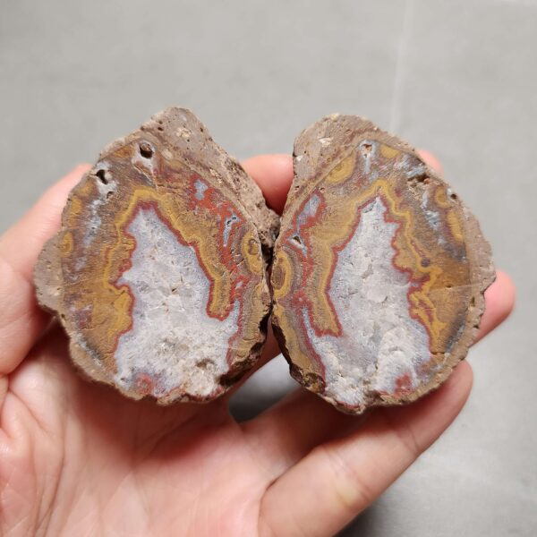 20260711_203014 Zhanguo Red Agate Pair Stone (unpolished) ZR061