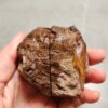 20260711_203207 Zhanguo Red Agate Pair Stone (unpolished) ZR061