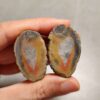 Zhanguo Red Agate Pair Stone (unpolished) ZR062