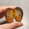 Zhanguo Red Agate Pair Stone (unpolished) ZR062