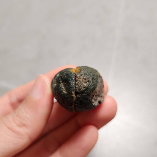 Zhanguo Red Agate Pair Stone (unpolished) ZR062