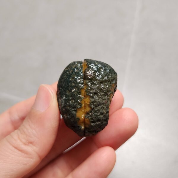 Zhanguo Red Agate Pair Stone (unpolished) ZR062