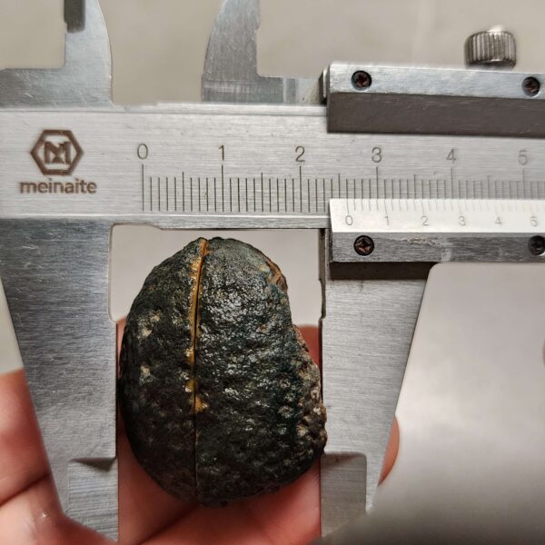 Zhanguo Red Agate Pair Stone (unpolished) ZR062