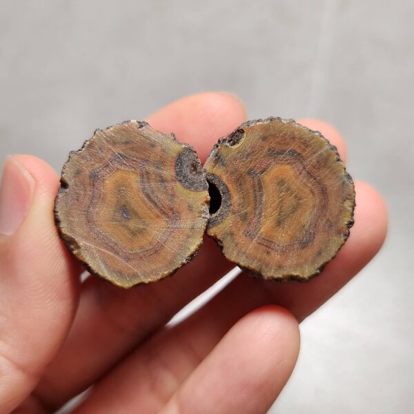 Zhanguo Red Agate Pair Stone (unpolished) ZR063