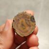 Zhanguo Red Agate Pair Stone (unpolished) ZR063