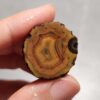 Zhanguo Red Agate Pair Stone (unpolished) ZR063