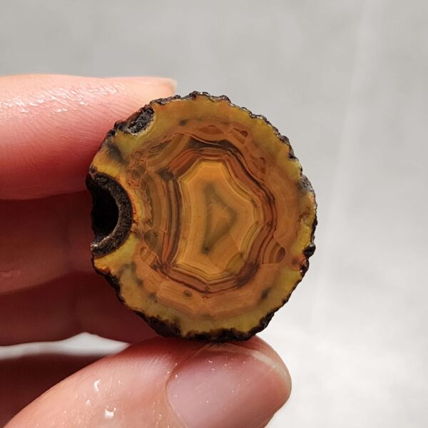 Zhanguo Red Agate Pair Stone (unpolished) ZR063