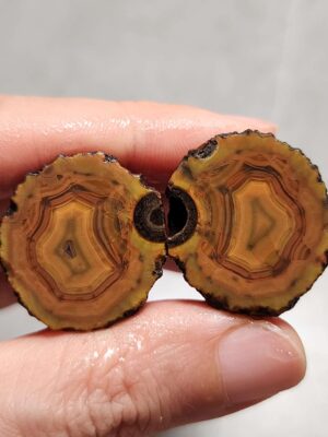 Zhanguo Red Agate Pair Stone (unpolished) ZR063
