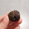 Zhanguo Red Agate Pair Stone (unpolished) ZR063