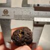 Zhanguo Red Agate Pair Stone (unpolished) ZR063