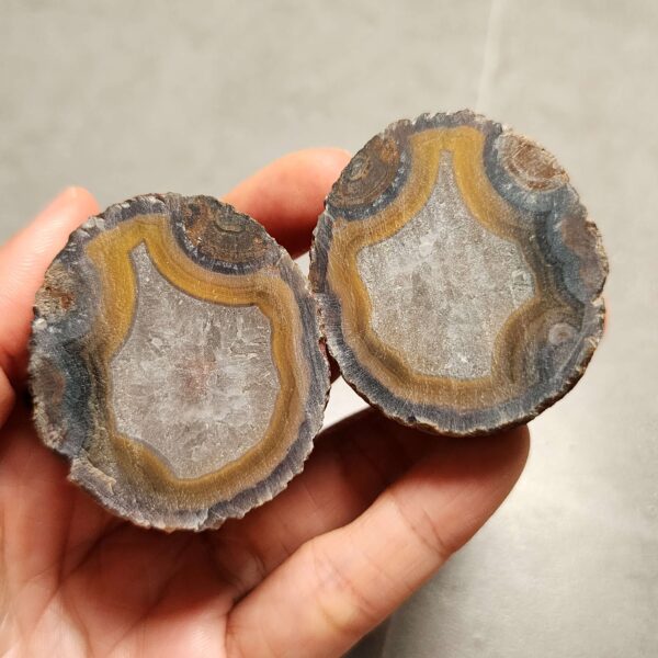 Zhanguo Red Agate Pair Stone (unpolished) ZR064