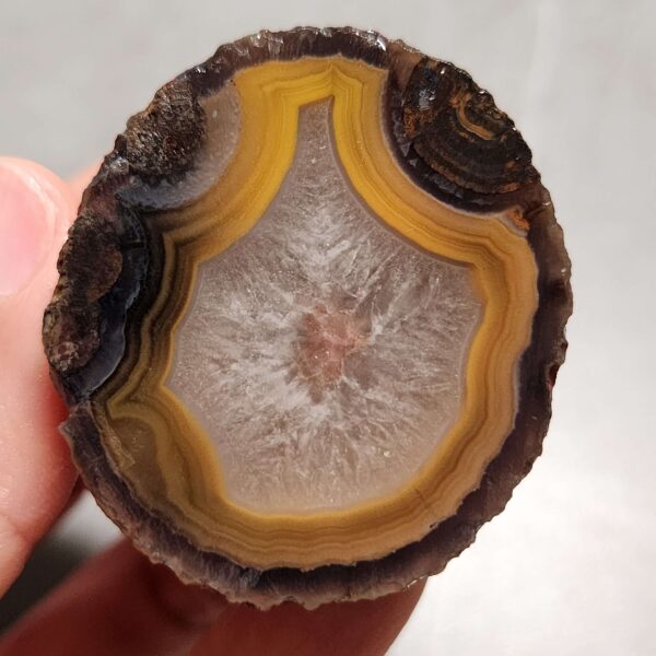 Zhanguo Red Agate Pair Stone (unpolished) ZR064