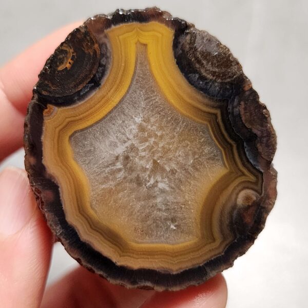 Zhanguo Red Agate Pair Stone (unpolished) ZR064