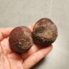 Zhanguo Red Agate Pair Stone (unpolished) ZR064