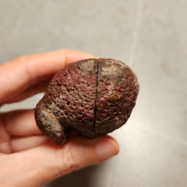 Zhanguo Red Agate Pair Stone (unpolished) ZR064