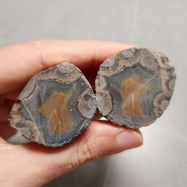 Zhanguo Red Agate Stone (unpolished) ZR065