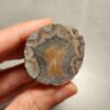Zhanguo Red Agate Stone (unpolished) ZR065