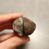 Zhanguo Red Agate Stone (unpolished) ZR065
