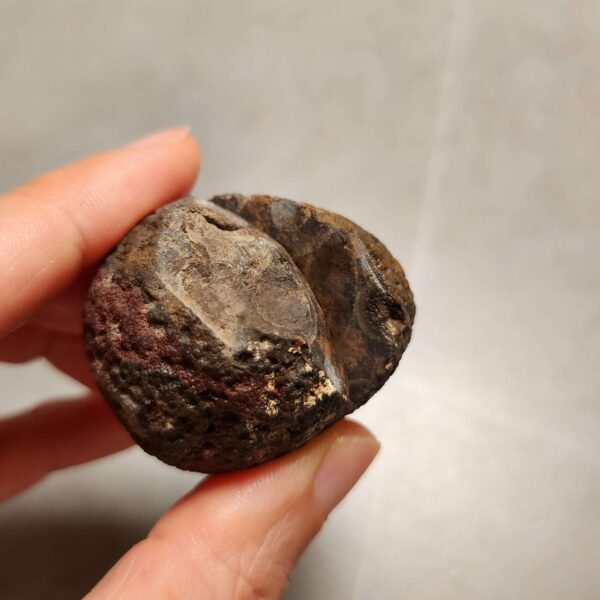 Zhanguo Red Agate Stone (unpolished) ZR065