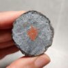 Zhanguo Red Agate Pair Stone (unpolished) ZR066