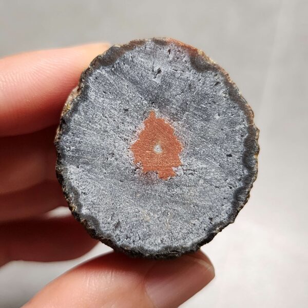 Zhanguo Red Agate Pair Stone (unpolished) ZR066