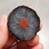 Zhanguo Red Agate Pair Stone (unpolished) ZR066
