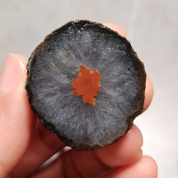 Zhanguo Red Agate Pair Stone (unpolished) ZR066
