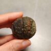 Zhanguo Red Agate Pair Stone (unpolished) ZR066