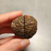 Zhanguo Red Agate Pair Stone (unpolished) ZR066